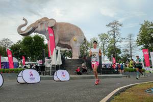 BIB: 
                            <button type="button" onclick="openModal(26528774)" class="btn btn-primary btn-sm float-right btn-popup" data-toggle="modal" data-target=".modal-high-quality">
                        <i class="fas fa-shopping-cart"></i> Add to Cart
                    </button>
                                            <button type="button" onclick="isThisMe(26528774, true)" class="btn btn-success btn-sm float-right btn-popup btn-isme hidden" data-toggle="tooltip" data-placement="bottom" title="นี่คือรูปของคุณใช่ไหม คลิกที่นี่เพื่อเอาเข้าอัลบั้ม">
                        <i class="fas fa-plus"></i> Add to album
                    </button>
                    <button type="button" onclick="isThisMe(26528774, false)" class="btn btn-warning btn-sm float-right btn-popup btn-isnotme hidden">
                        <i class="fas fa-ban"></i> Remove from album
                    </button>